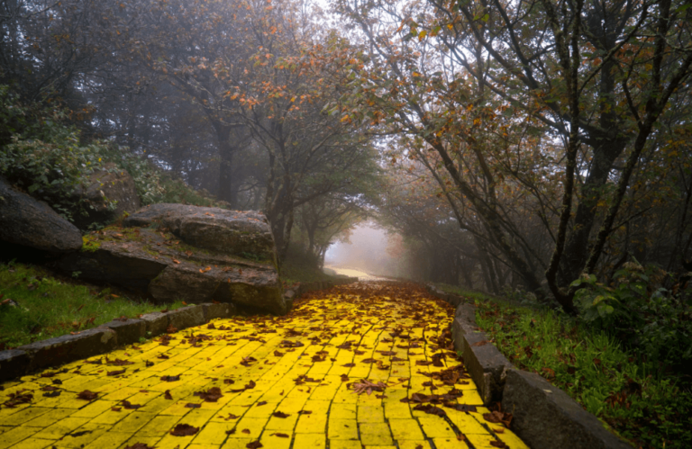 Самые дорогие заброшенные строения в мире