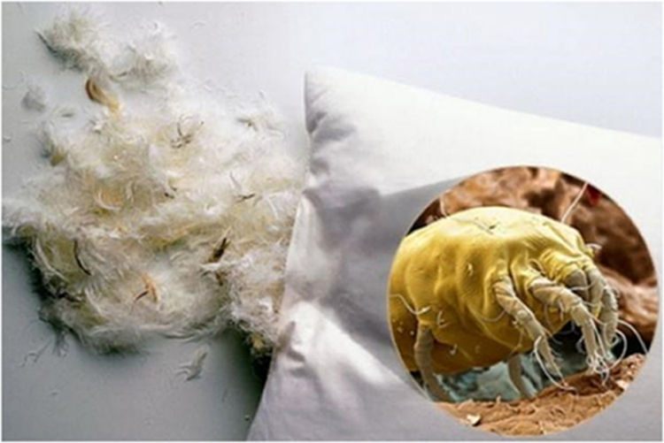 Почему гигантская пылевая кома параллельна? Разгоаор с нейросетью