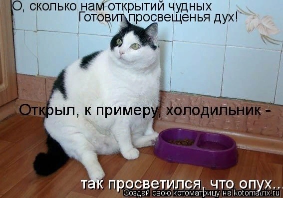 Мартовские коты, или весна идет, весне дорогу ( ч. 2)