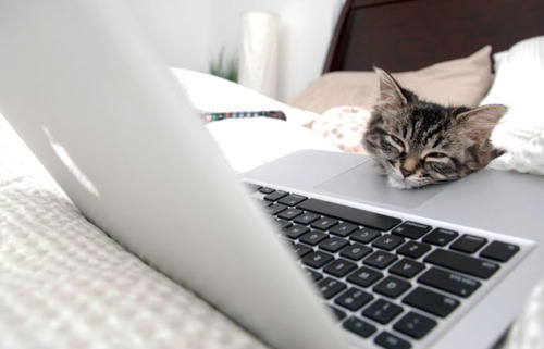 Продуктивность - это твое будущее!