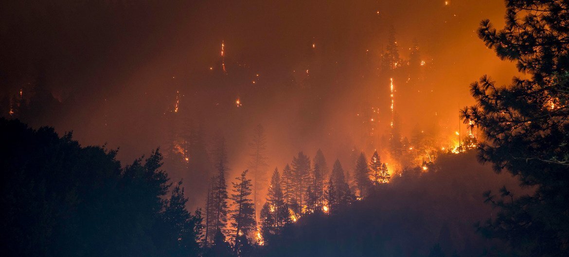 Чем грозит глобальное потепление и как это исправить?