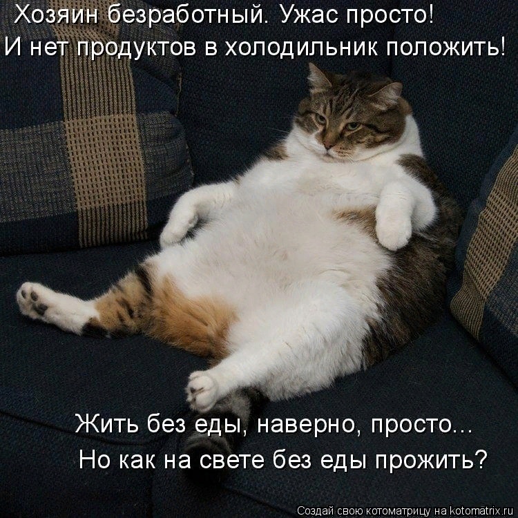 Мартовские коты, или весна идет, весне дорогу ( ч. 2)