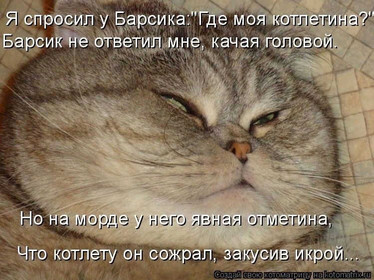 Мартовские коты, или весна идет, весне дорогу ( ч. 2)
