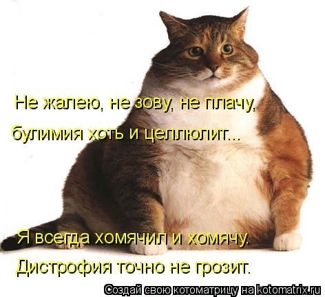 Мартовские коты, или весна идет, весне дорогу ( ч. 2)