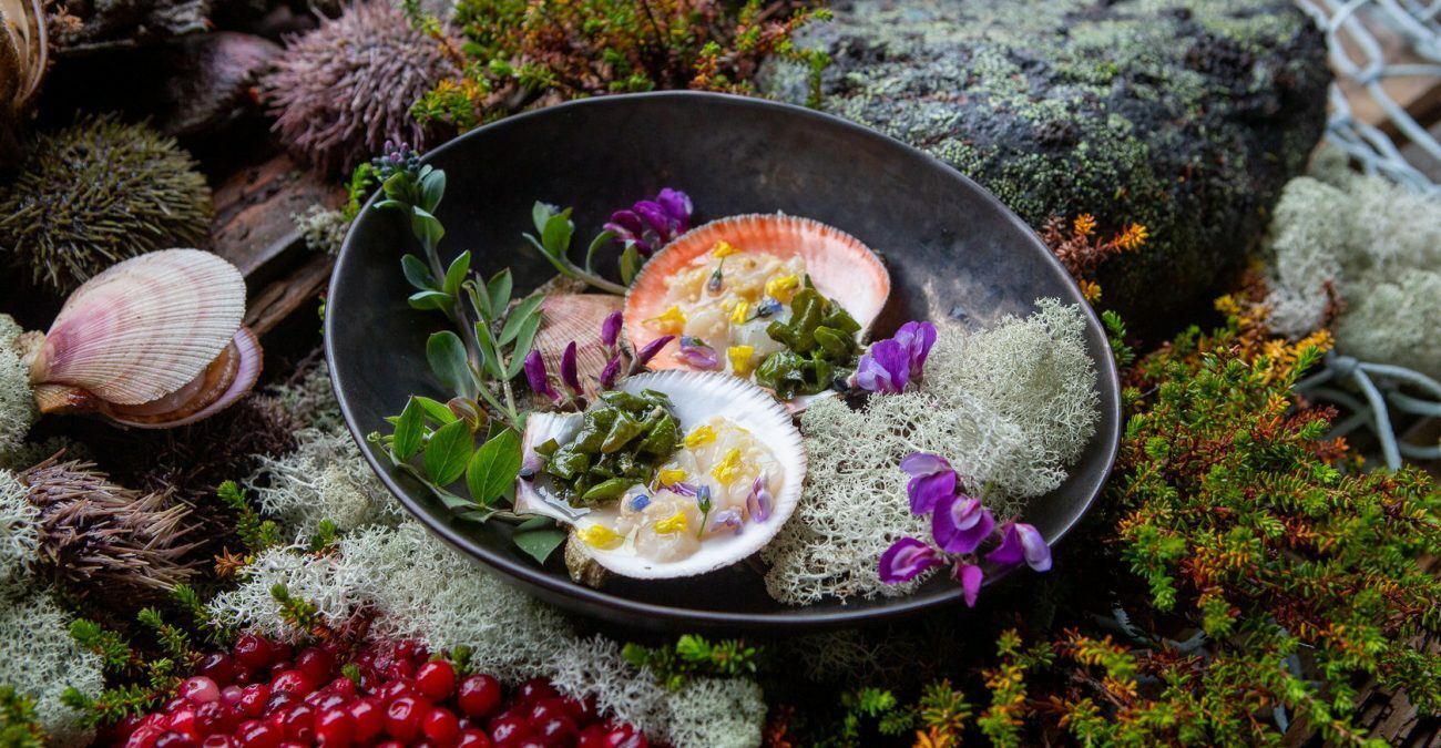 Мурманск - северный город, который точно сможет Вас удивить. Северное сияние, киты, арктическая кухня и не только!