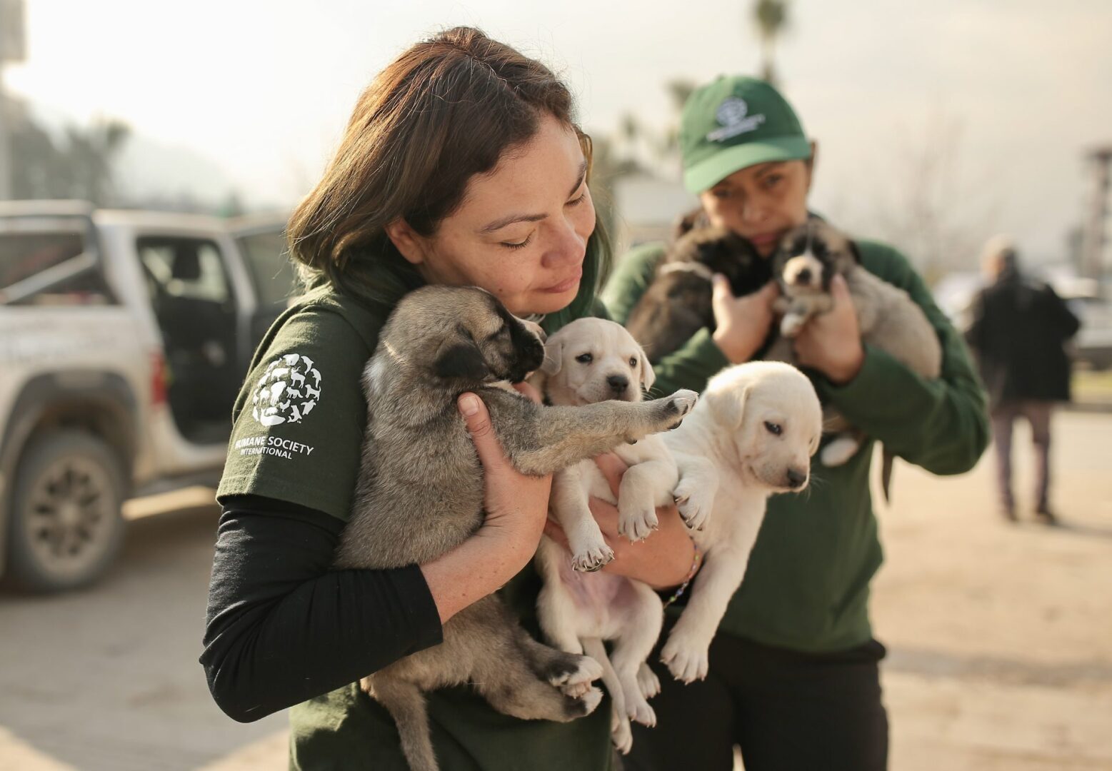 Надежда все еще жива, так как после разрушительного землетрясения в Турции было спасено более 1500 животных