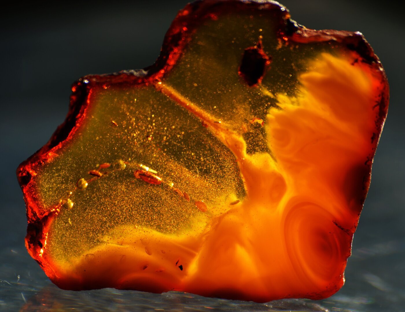 Органика прошлого