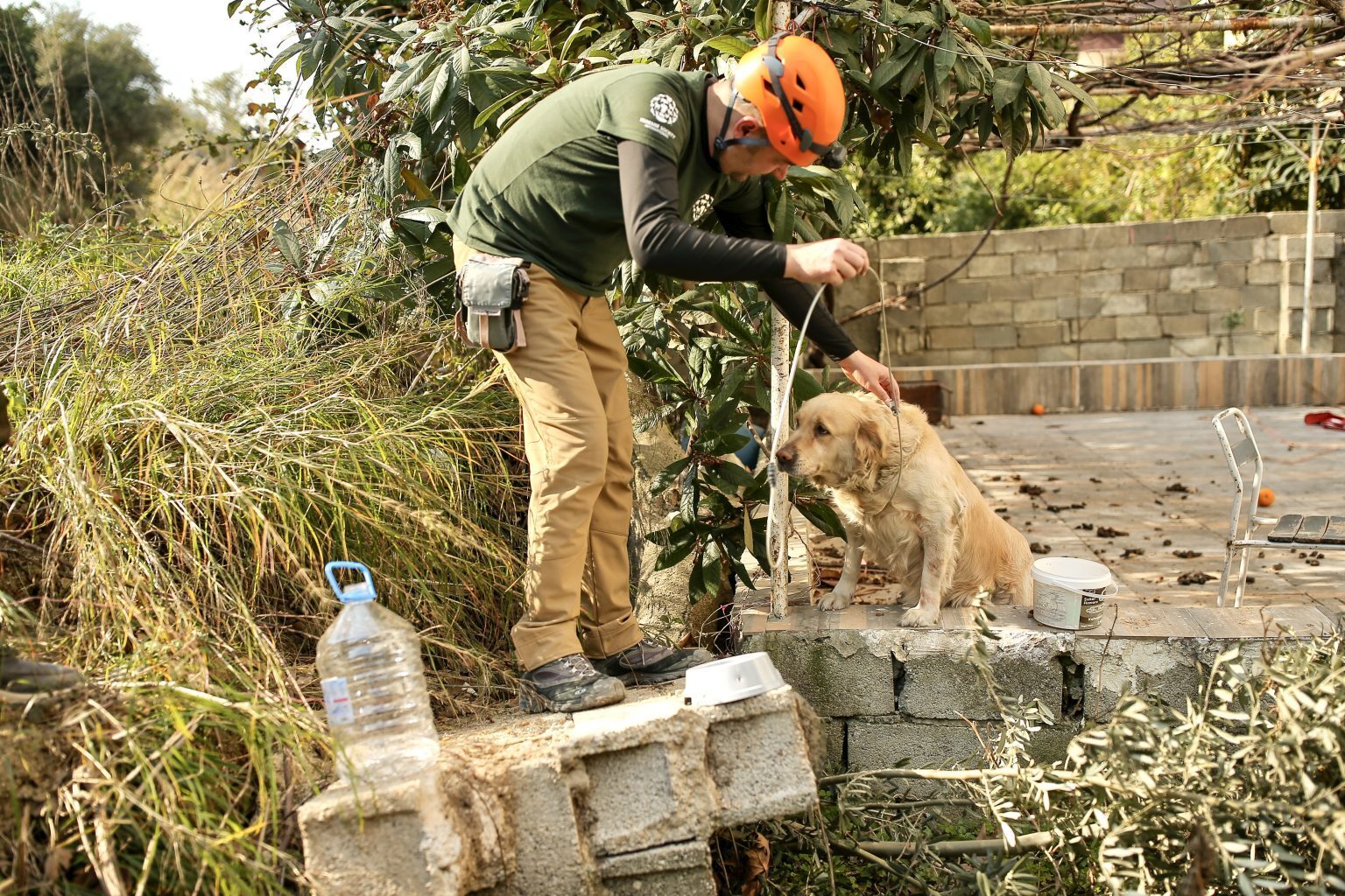 Надежда все еще жива, так как после разрушительного землетрясения в Турции было спасено более 1500 животных