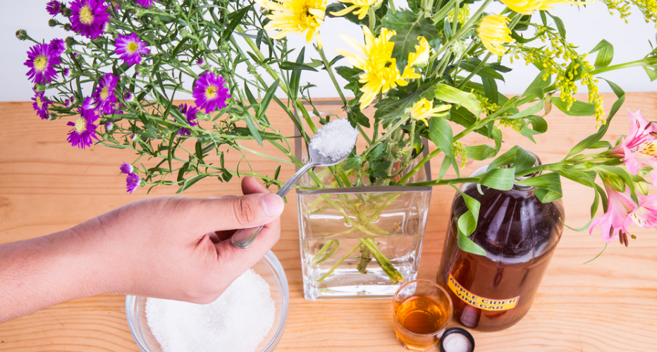 Полезна ли сахарная вода для растений?