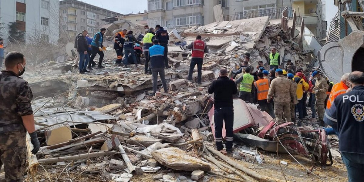 Выжившая собака после землетрясения в Турции.