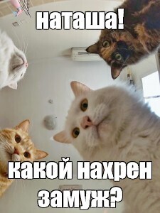 Женщины в 40+ замуж не желают