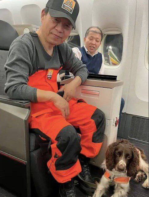 Как переезжали собаки спасатели в Турции после землетрясения.