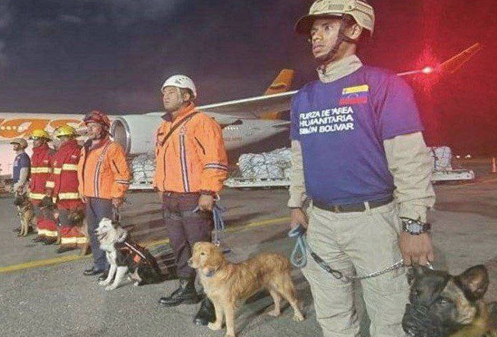 Как переезжали собаки спасатели в Турции после землетрясения.