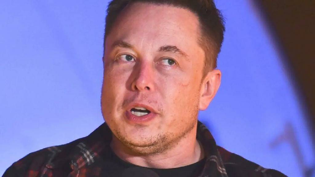 В конце концов, это не так уж и важно для любителя Dogecoin Элона Маска из Турции!