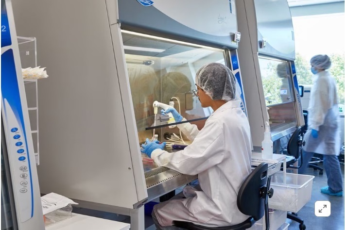 Рыбный пузырь для гурманов догоняет курицу, говядину по прибыльности в Сингапуре, когда речь идет о лабораторном мясе