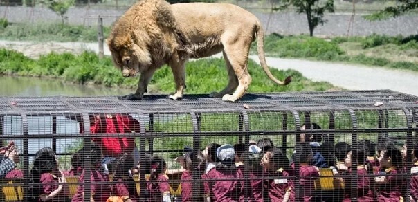 Все на своем месте!