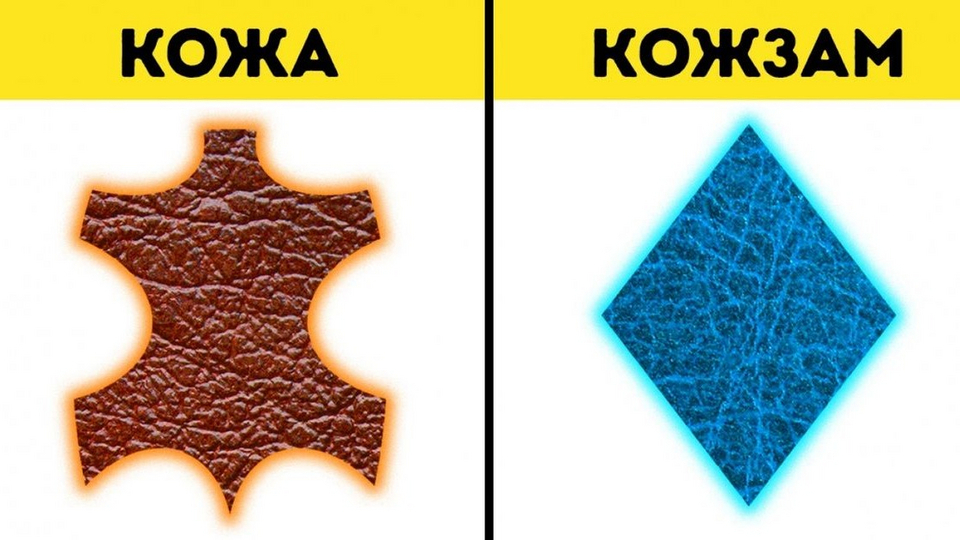 Пять простых способов отличить натуральную кожу от искусственной.