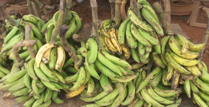 Что едят на день независимости Ганы