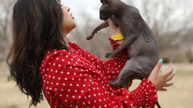 Татуированный кот, который был преступниками заточен в мексиканской тюрьме, ищет новый дом