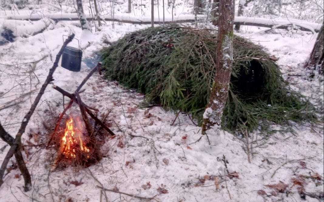 Выжить в тайге