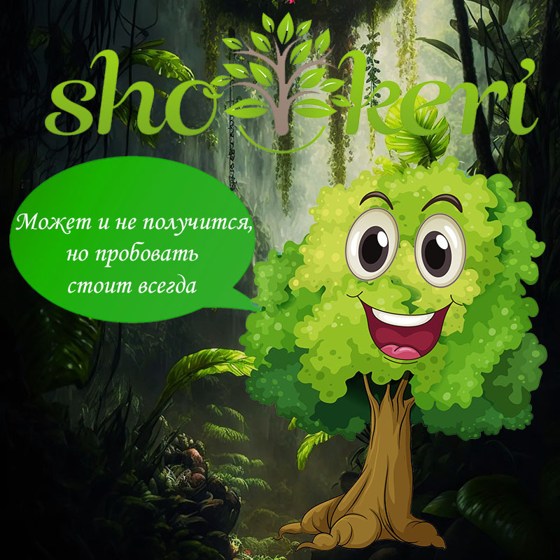 Более 50 творческих способов сэкономить деньги в личном бюджете