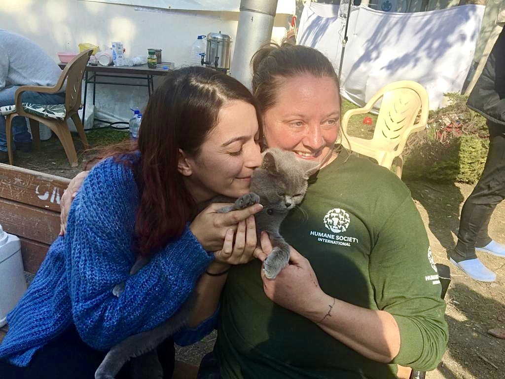 Надежда еще жива: в Турции после разрушительного землетрясения спасено более 1500 животных