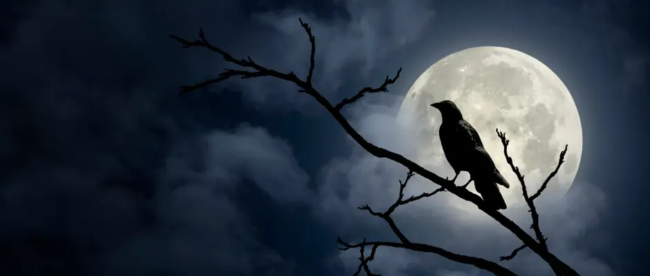 Полнолуние в марте 2023 года: когда я смогу увидать Червивую Луну?