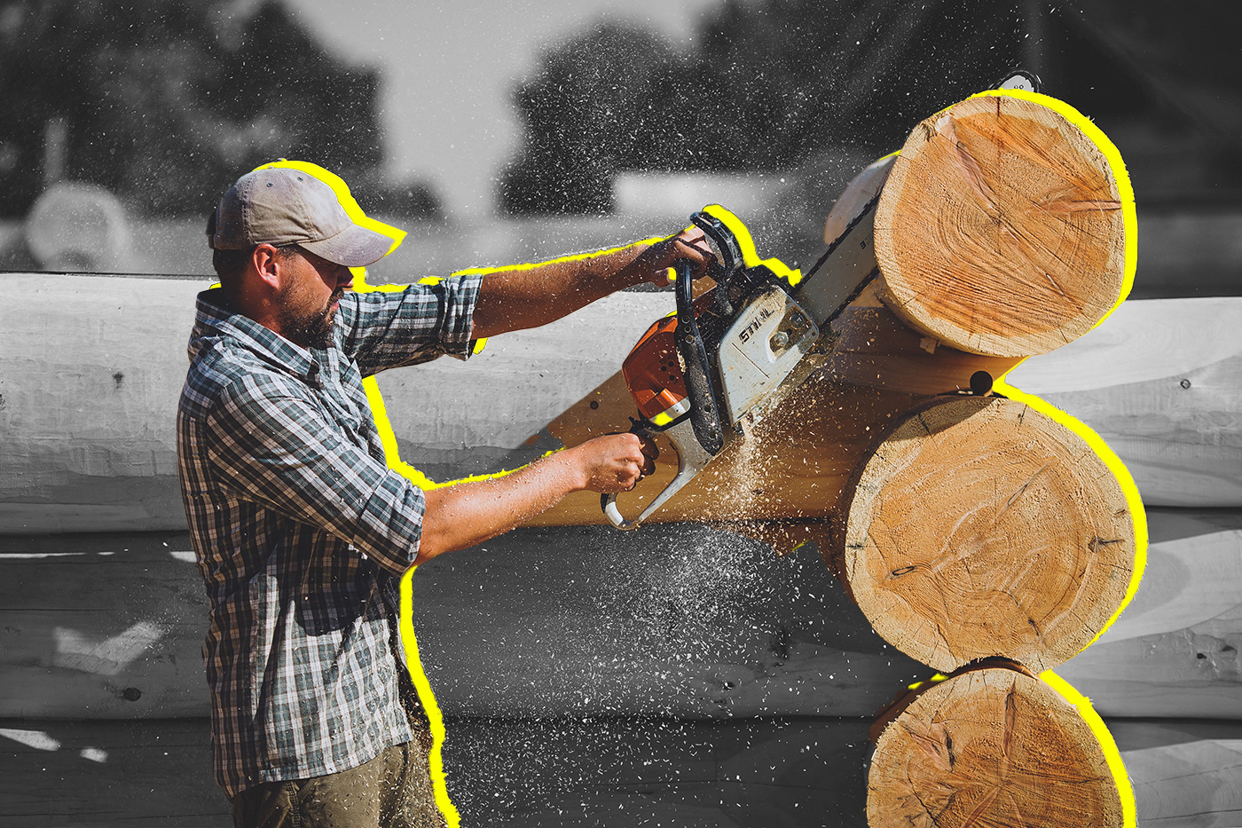 Хвалёный российский лес оказался не нужен Европе