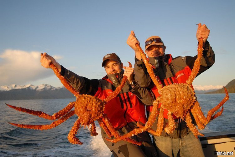 Куда не стоит ехать на заработки