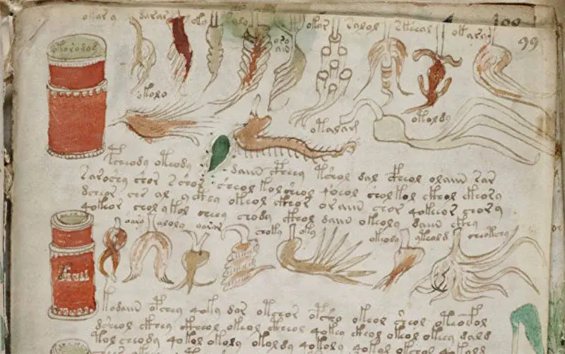 Разгадка загадки рукописи Войнича: самая загадочная книга в мире.