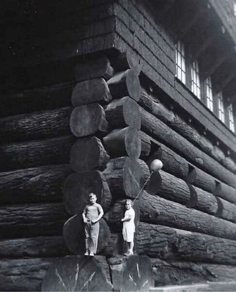 История самого большого сруба - дома из деревьев великанов.
