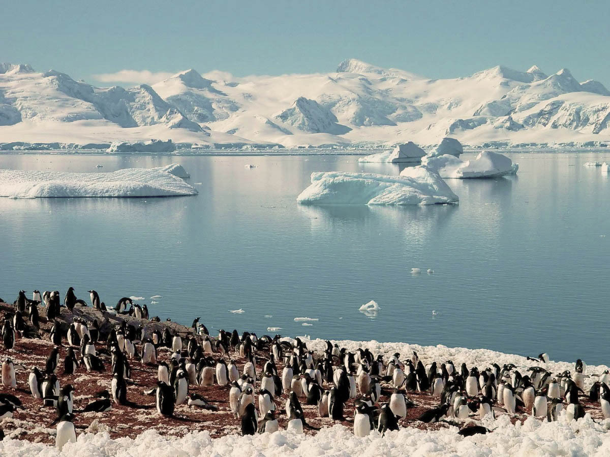 Площадь льда вокруг Антарктиды сократилась до рекордно низкого уровня