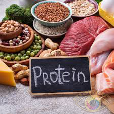 Почему важен белок?