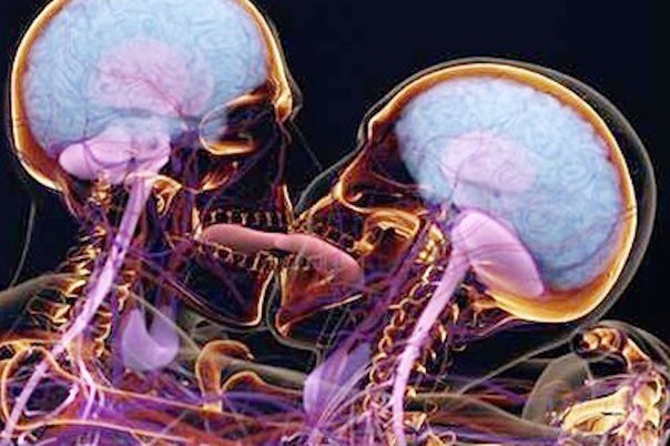 Биология любви: что происходит с нашим организмом, когда мы влюбляемся