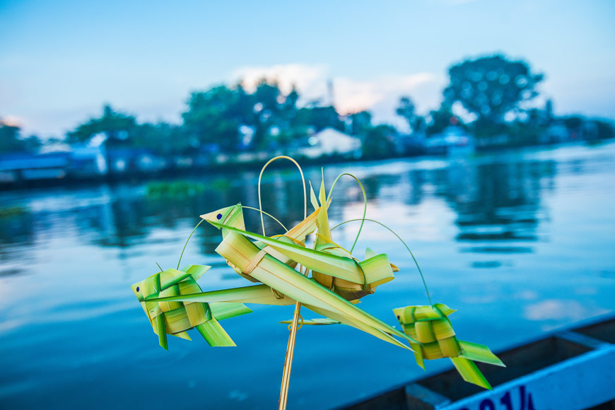 Посетить Вьетнам из дома.