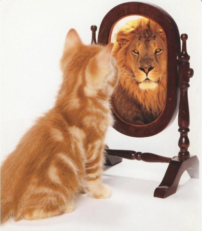 Как уверенность в себе, делает нас супер людьми. Несколько способов стать уверенней.