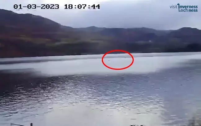 Новые кадры утверждают, что Лохнесское чудовище "не одиноко", в воде находятся два существа