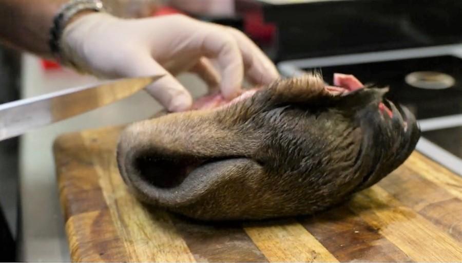 Топ-10 самых отвратительных блюд со всего мира