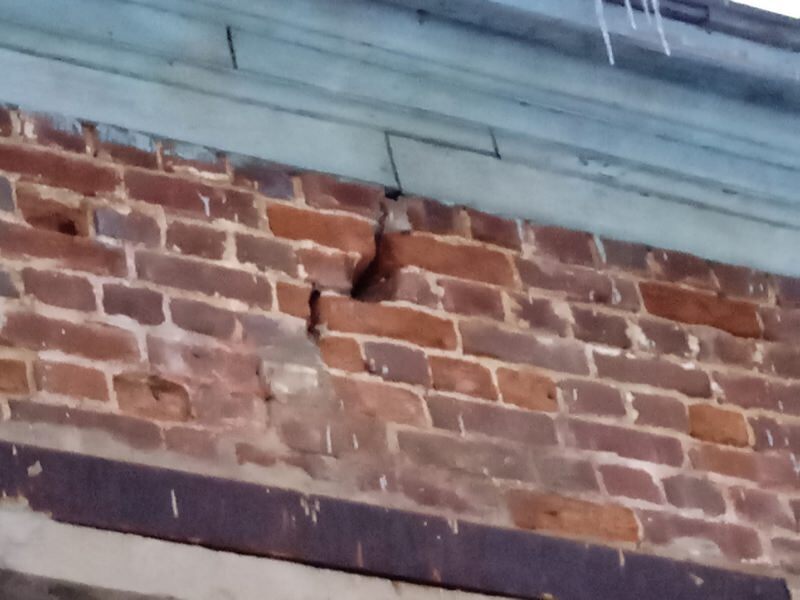 Царское наследие: клопы времен Екатерины мои соседи