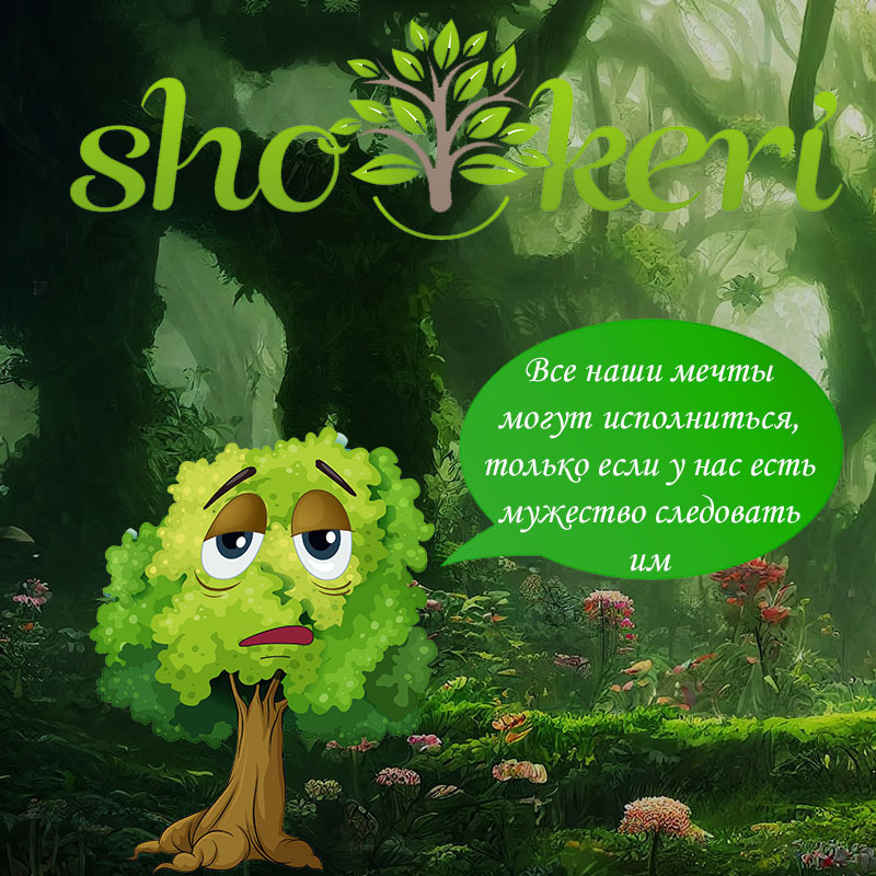 Ложь о деньгах, которую мы себе рассказываем