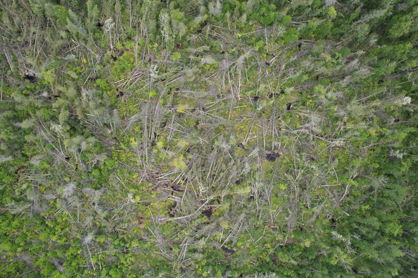 Где Канада прячет все свои торнадо?