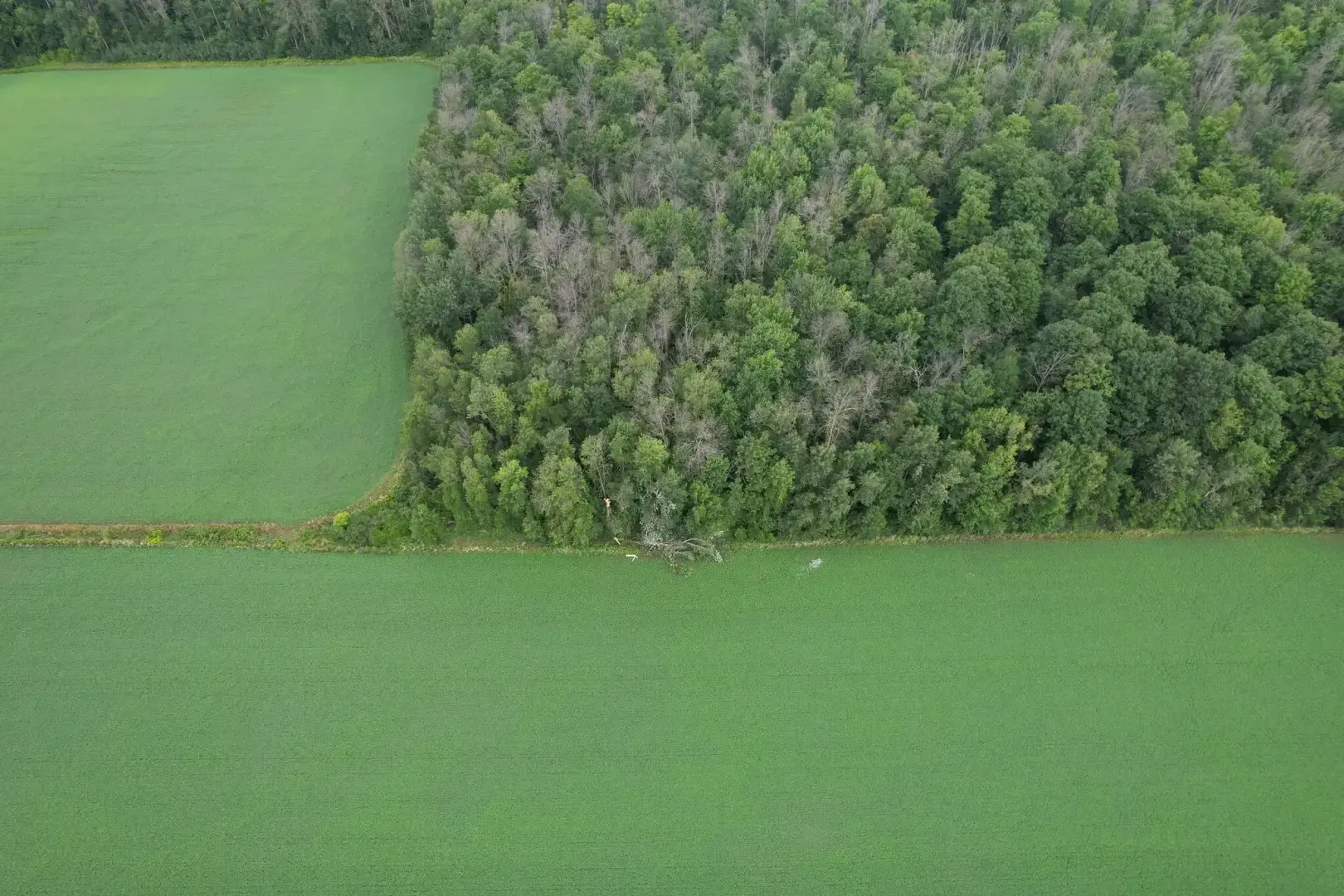 Где Канада прячет все свои торнадо?