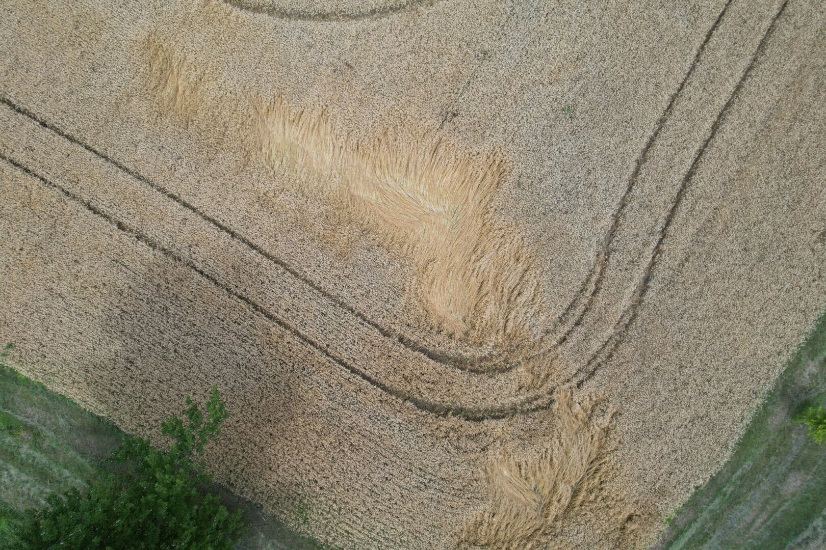 Где Канада прячет все свои торнадо?