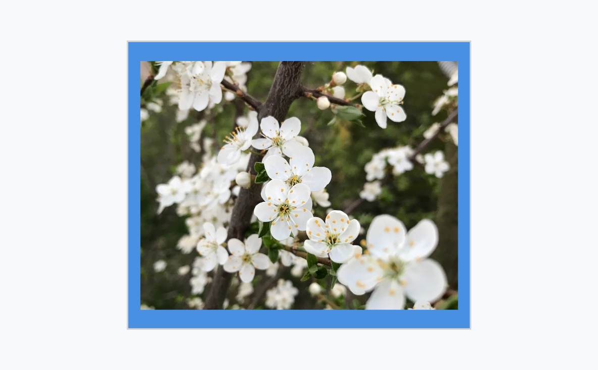 Великий пост - это время духовного роста и обновления для многих христиан по всему миру.