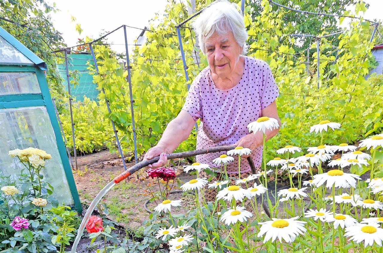 Как устанавливать системы орошения на участках.