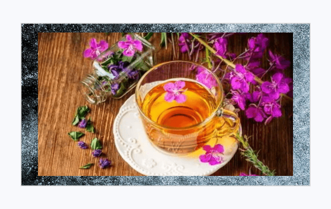 Иван чай ферментированный может оказаться эффективным средством в борьбе против коронавируса.