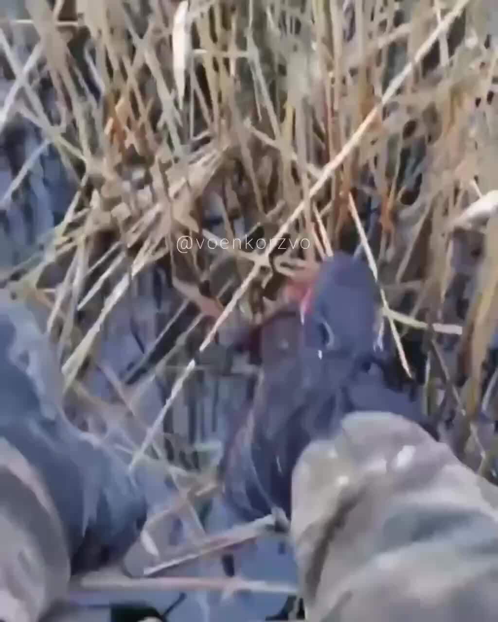 Сейчас собирается