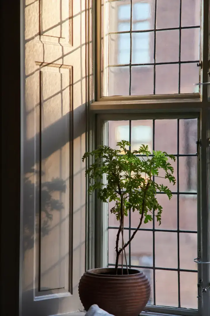 Загляните внутрь одного из старейших каменных домов Сёдермальма