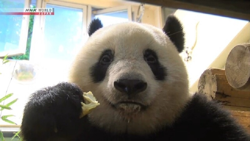 Несколько интересных фактов про разных животных, №1