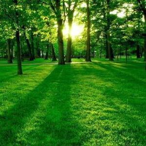 Пюрбеев Сергей Владимирович